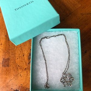 Authentic Tiffany & Co. Necklace with box